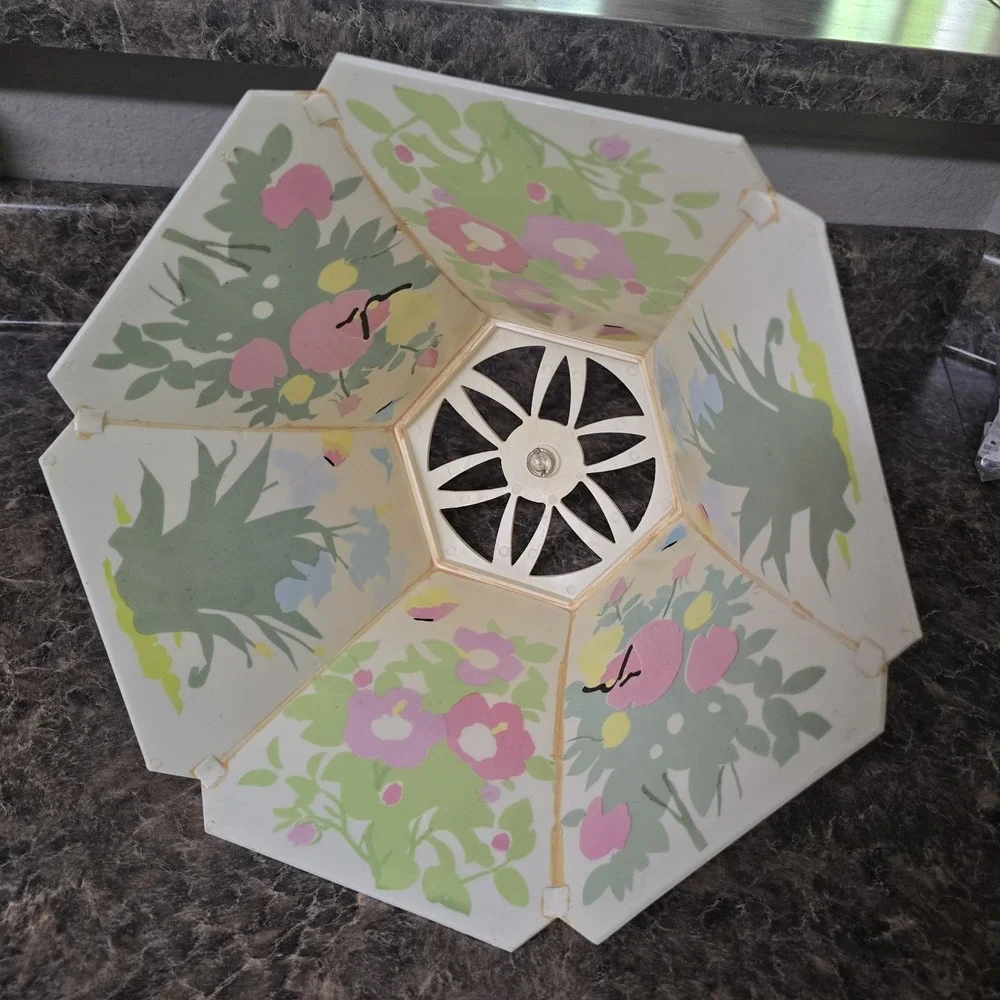 Vintage 1950's Celluloid Lithophane 6‎ Panel Floral Scene Lamp Shade